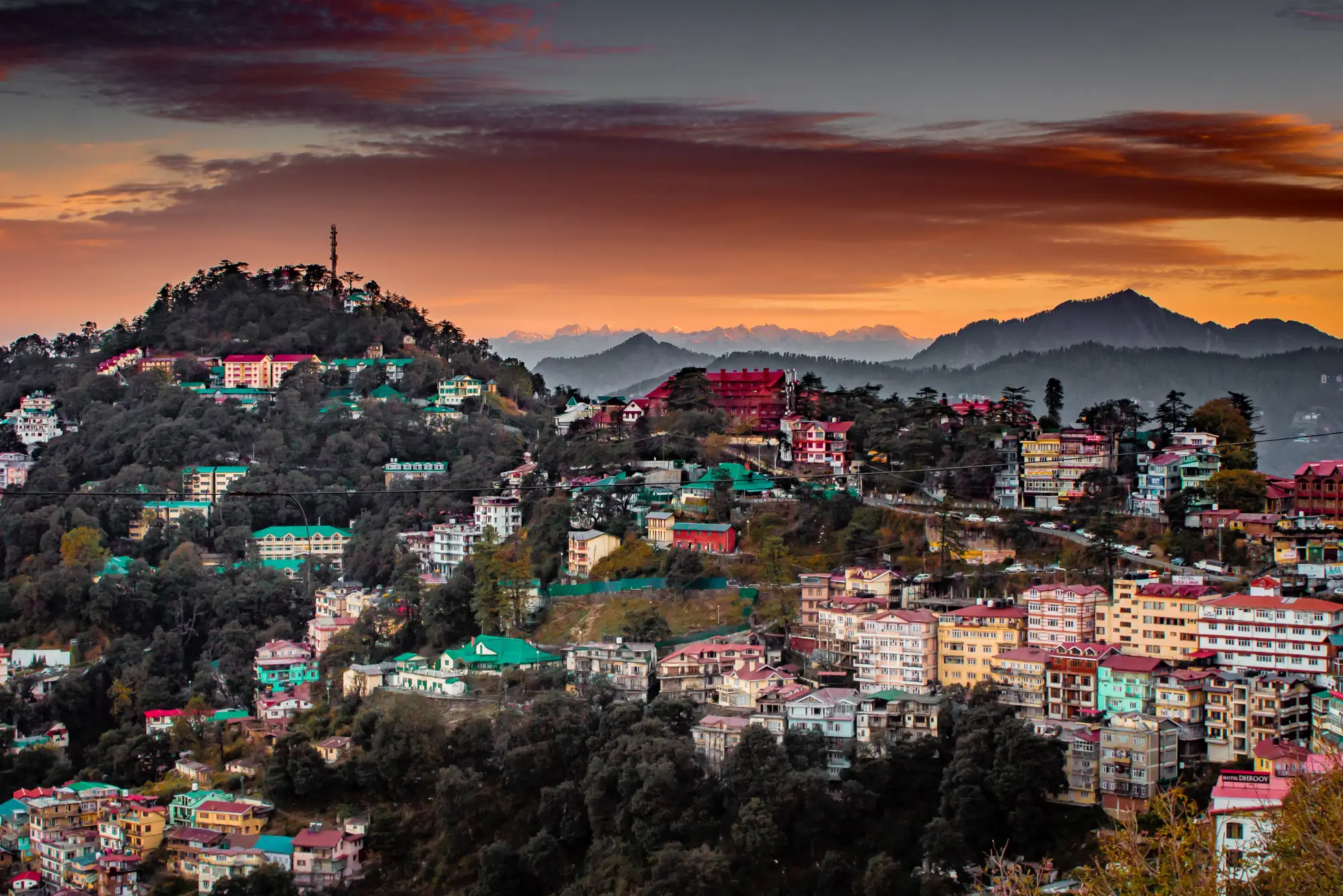 shimla city
