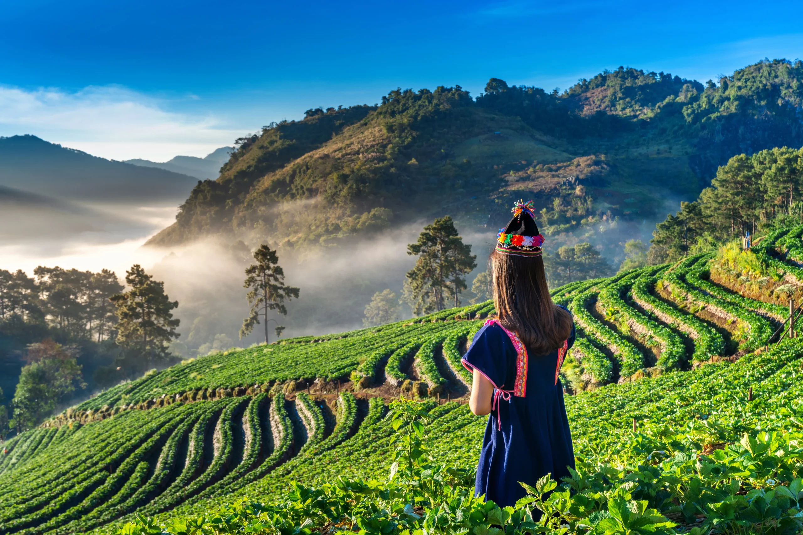 woman-wearing-hill-tribe-dress-strawberry-garden-doi-ang-khang-chiang-mai-thailand