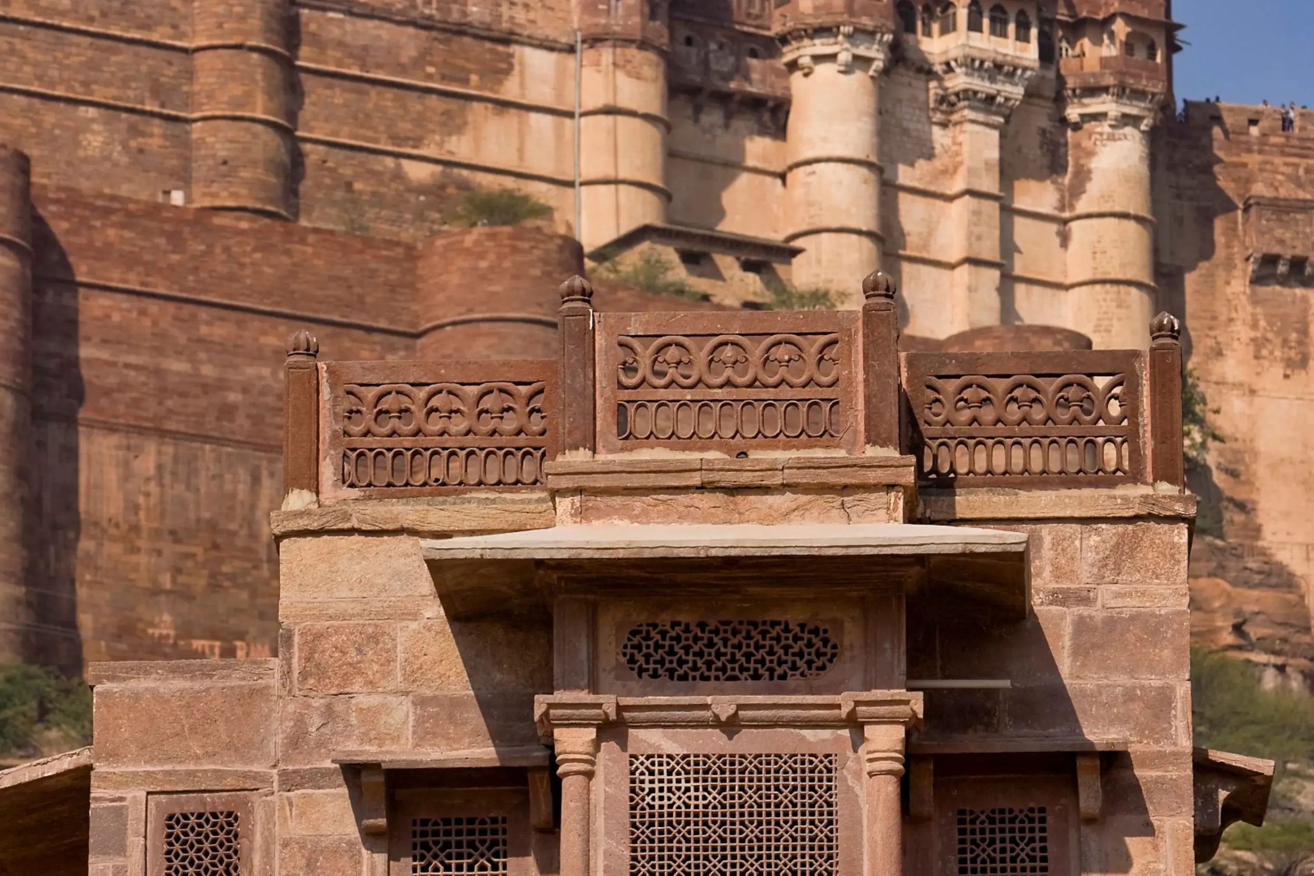 6. Facade - RAAS Jodhpur (1)