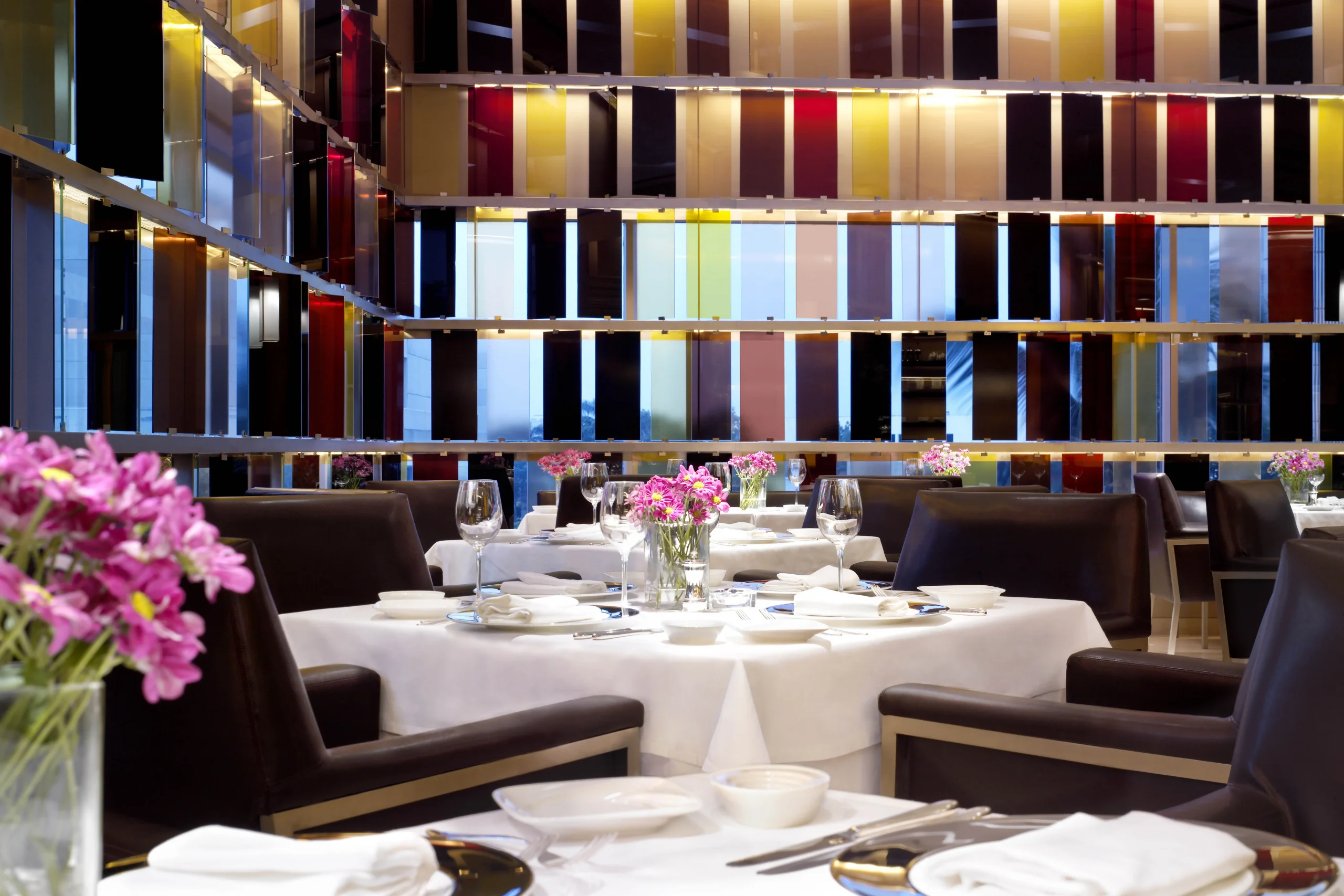 698c1ec26889b_110202-tom-vetro-with-flower-without_front-glass