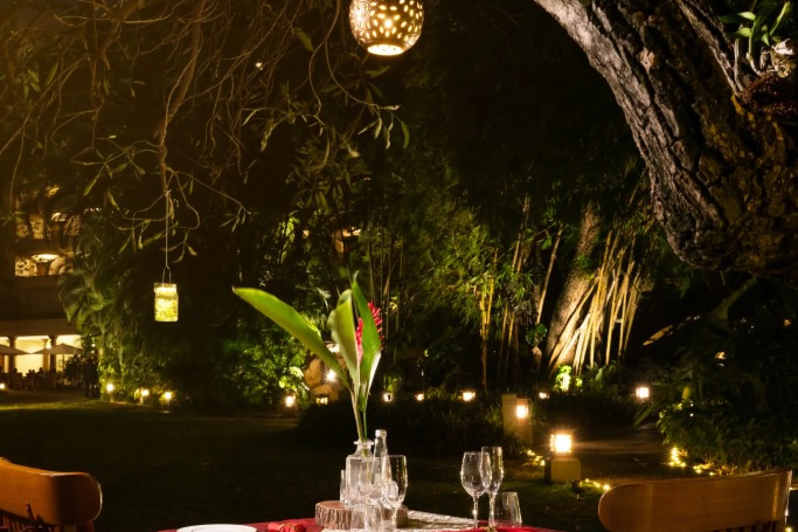 698c59b2ceb47_starlit-dinner-2