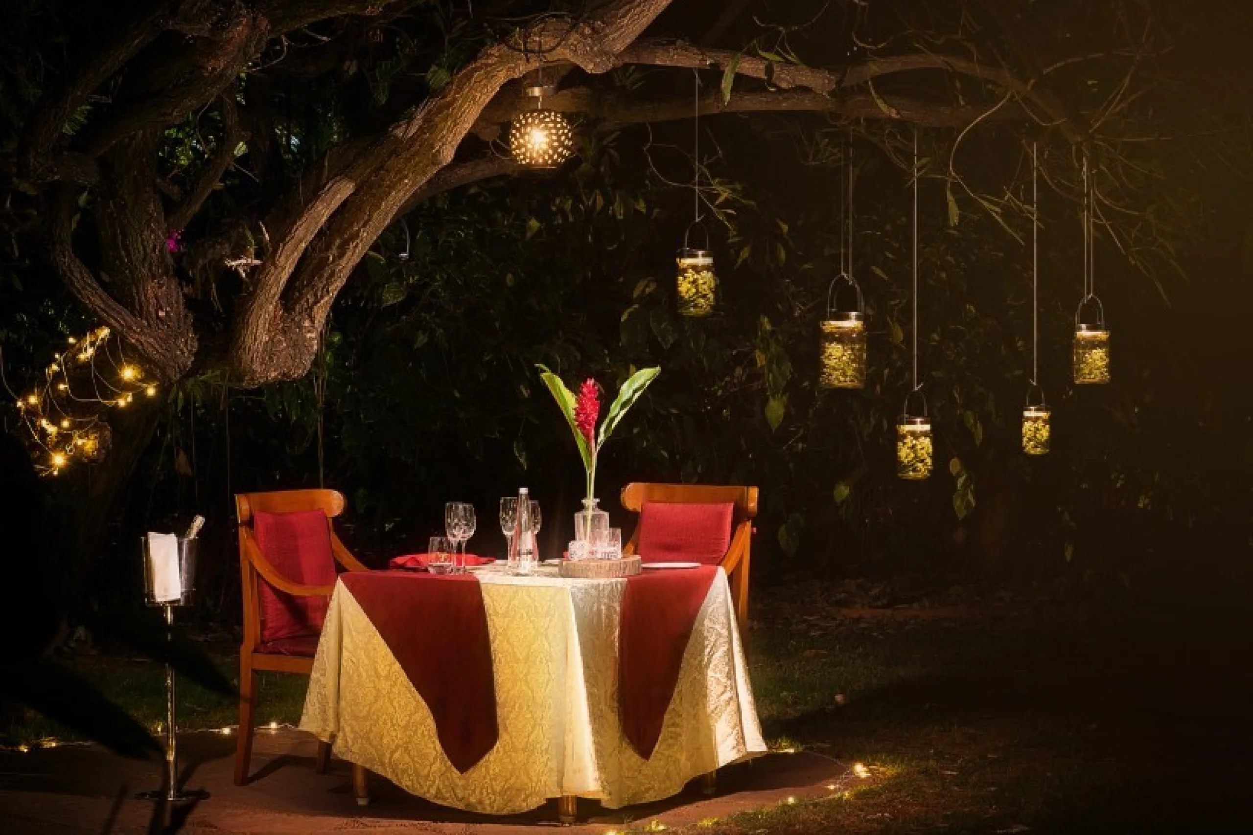 698c59b3bedce_starlit-dinner-3