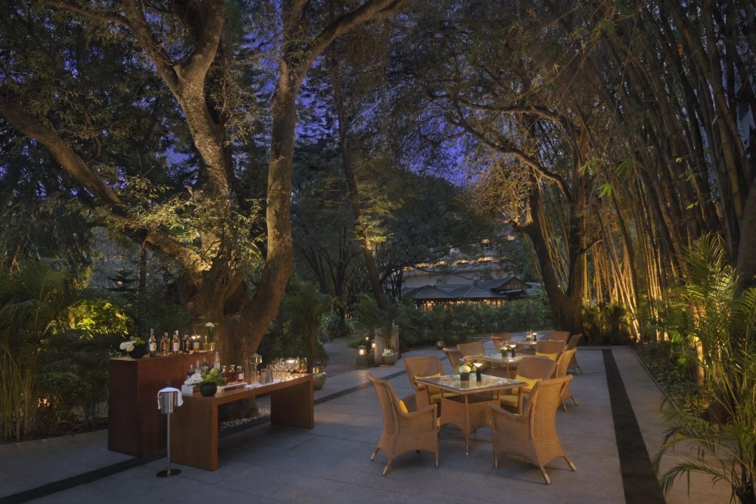 698c5a6f7378b_bamboo-grove-evening-shot