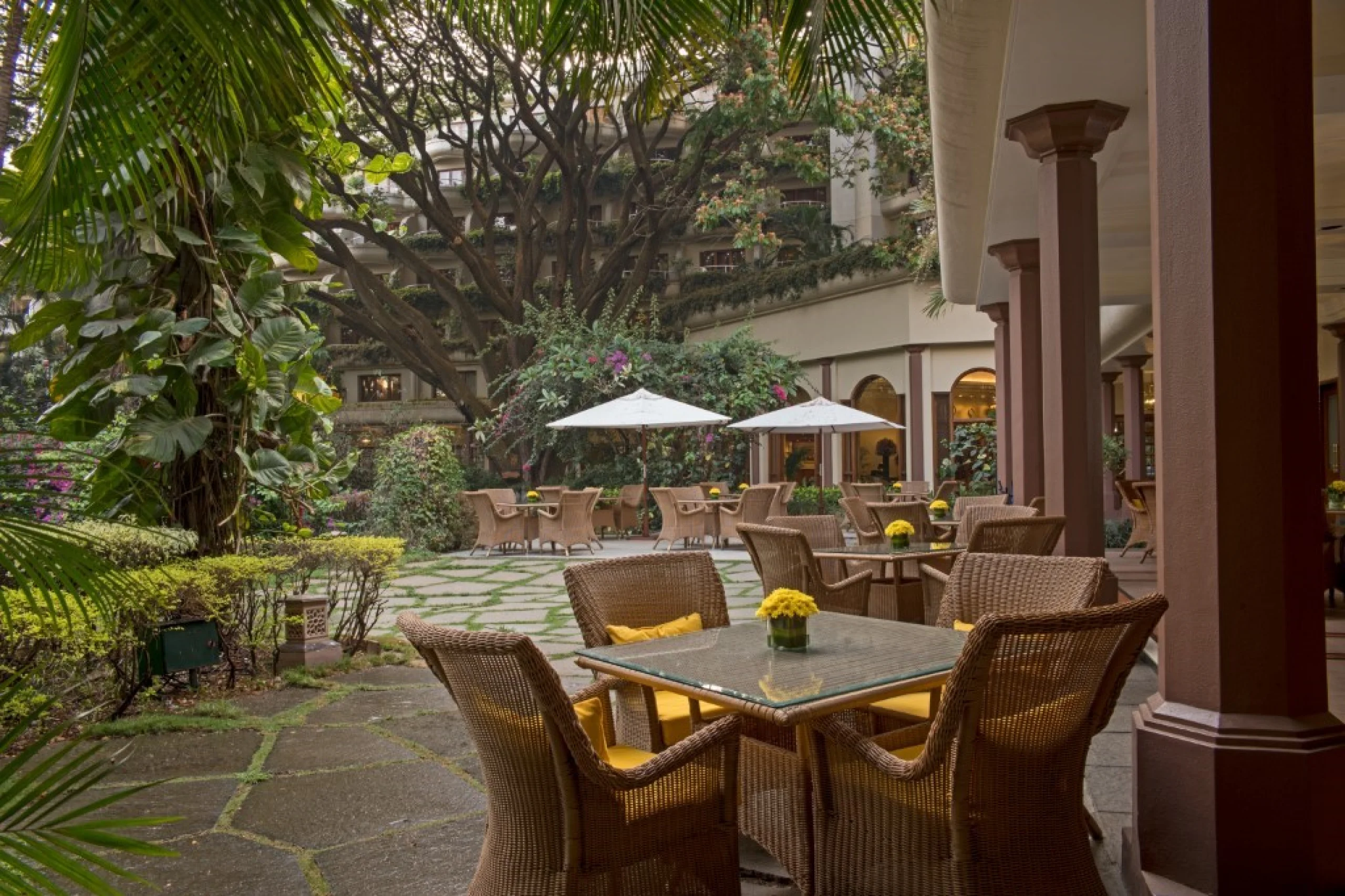 698c5a7b11fba_155533-l1000851