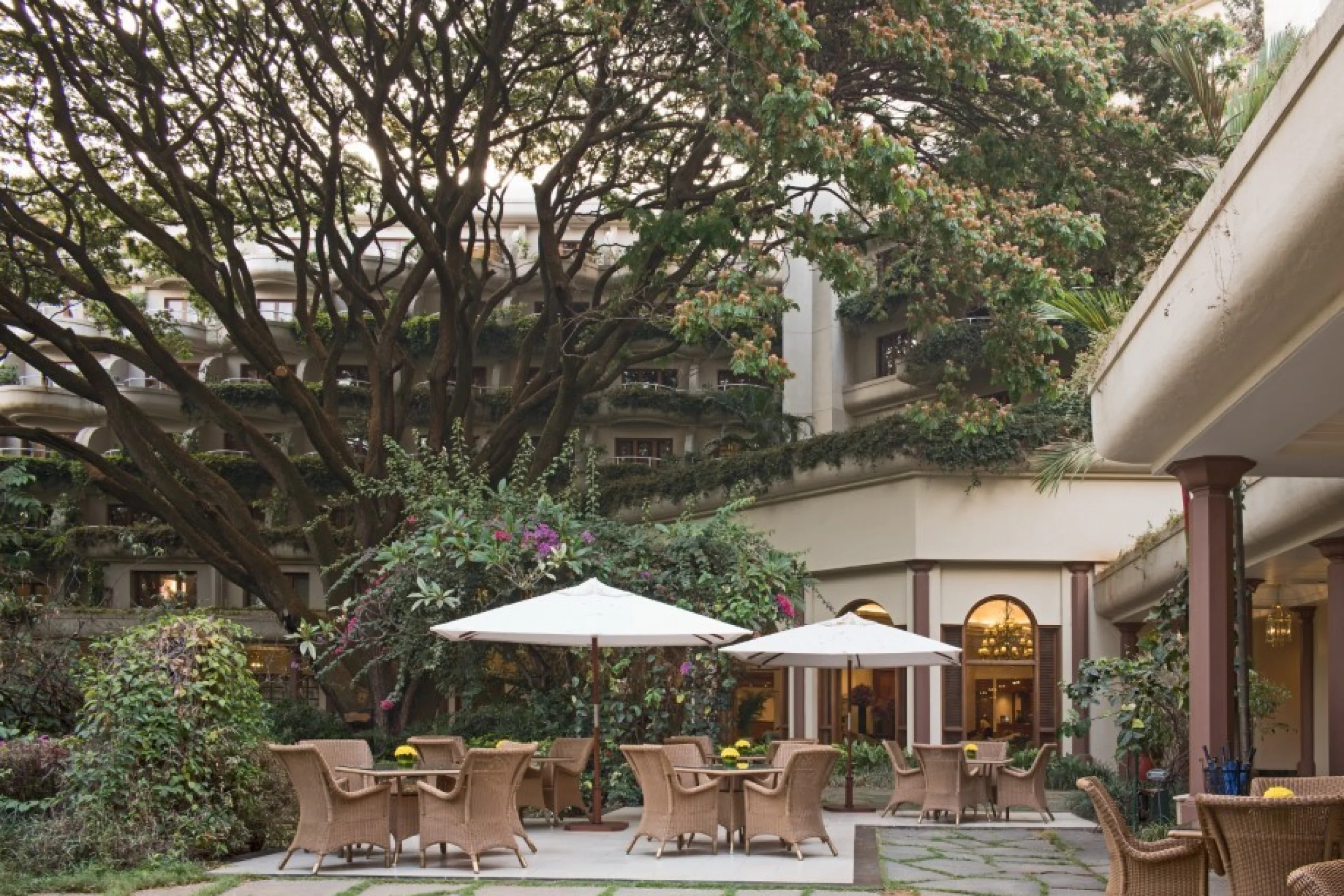 698c5afe3e8d4_155532-l1000829_30