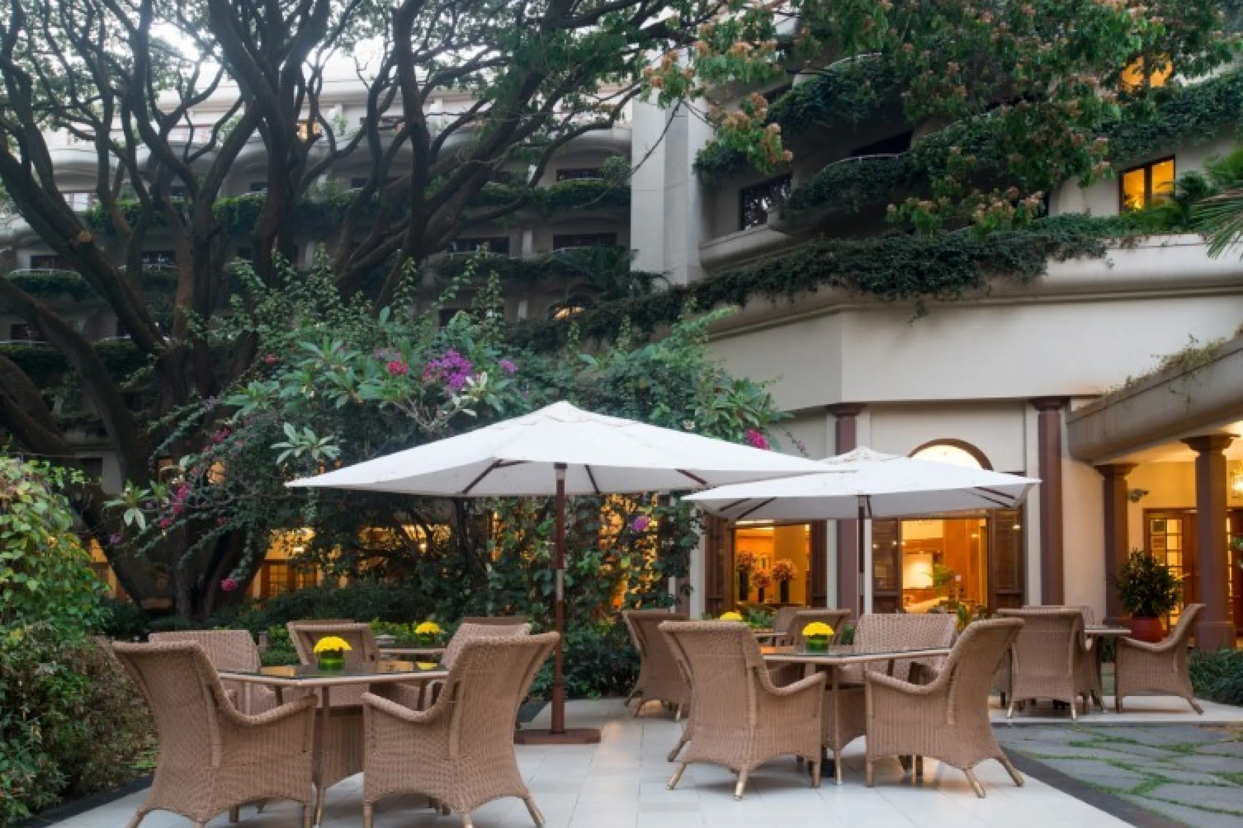 698c5b0039620_155531-dsc_7354_55