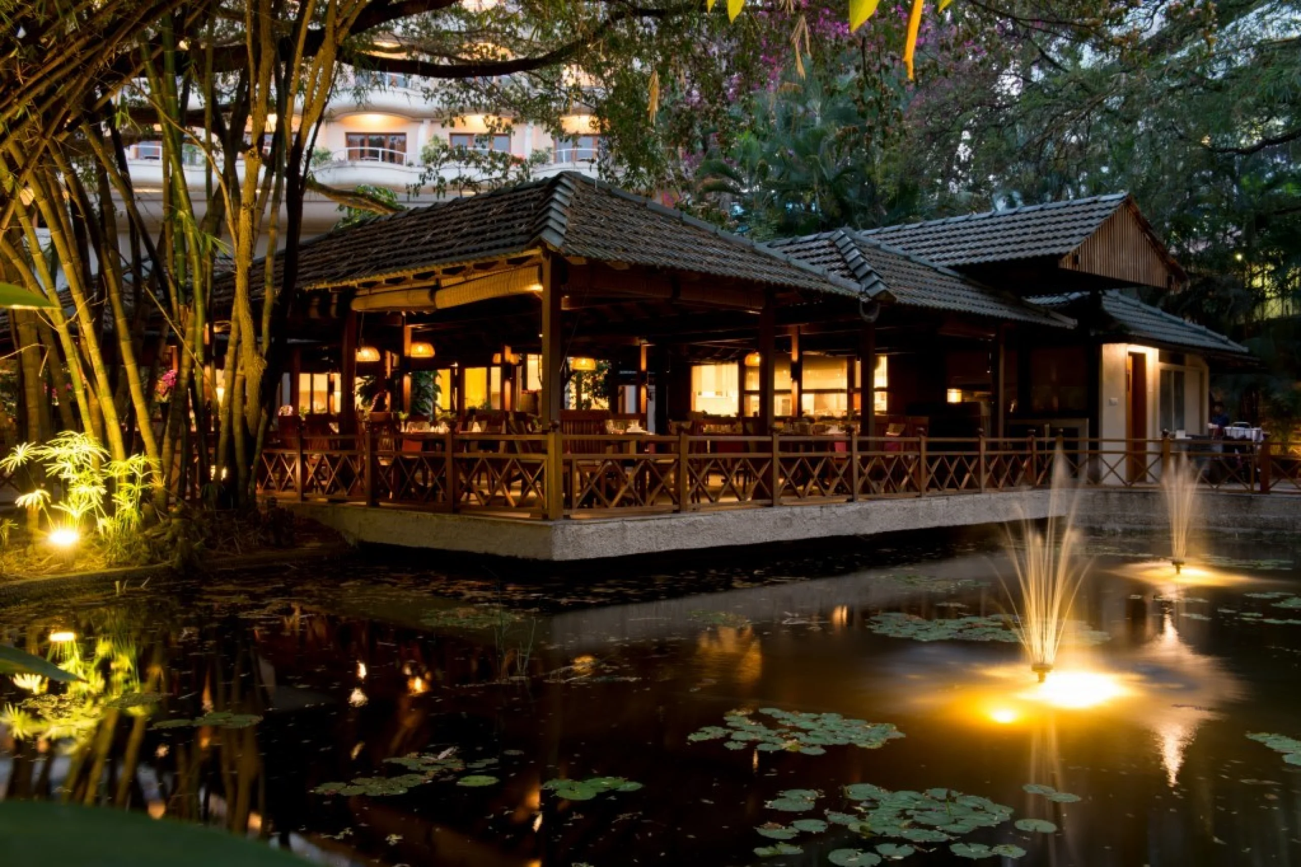 698c5b02d39fe_155026-dsc_7323