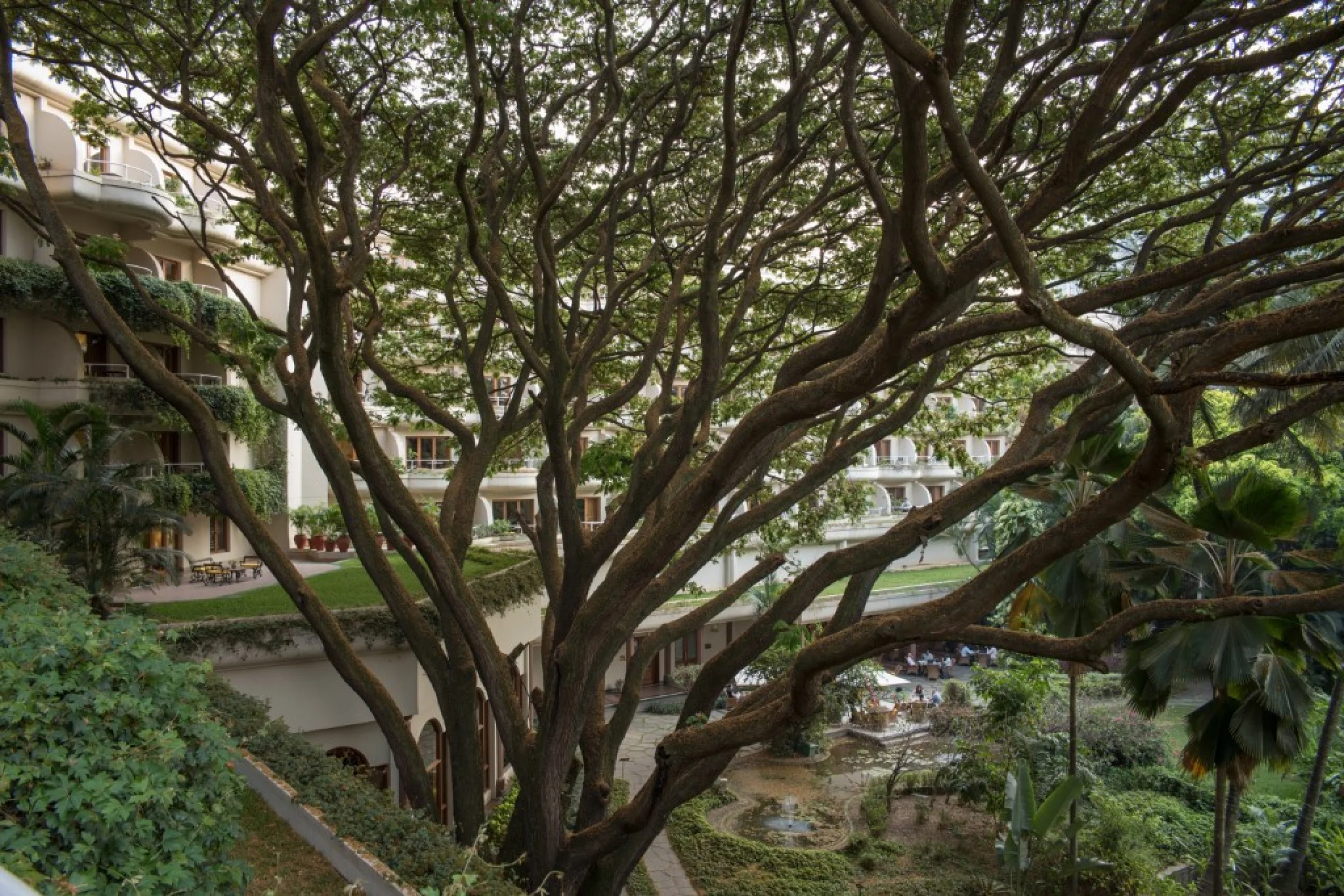 698c5b0dc0789_140335-l1001022