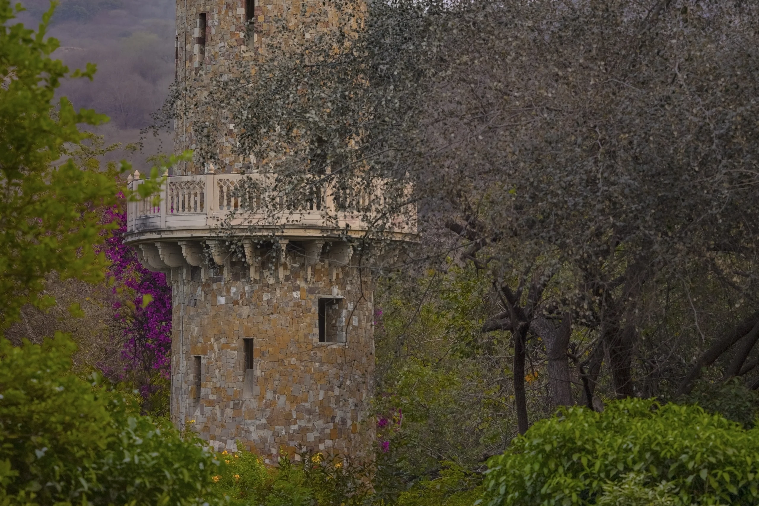 698dd018a659a_Observation Tower