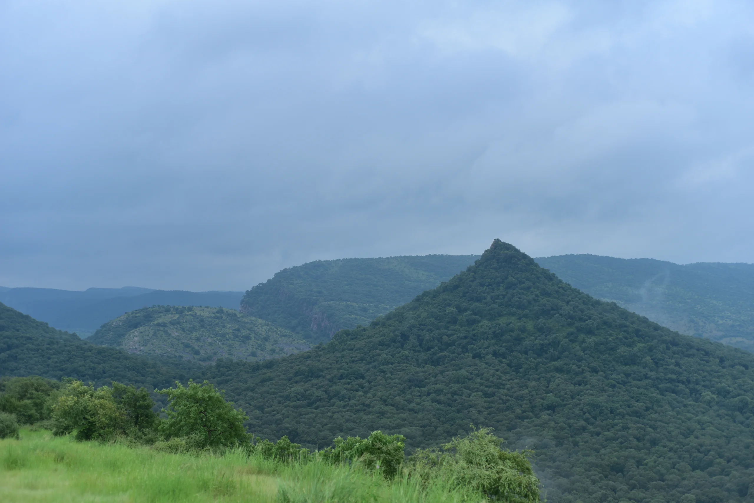 698dd9cd47744_ranthambhore-in-monsoon