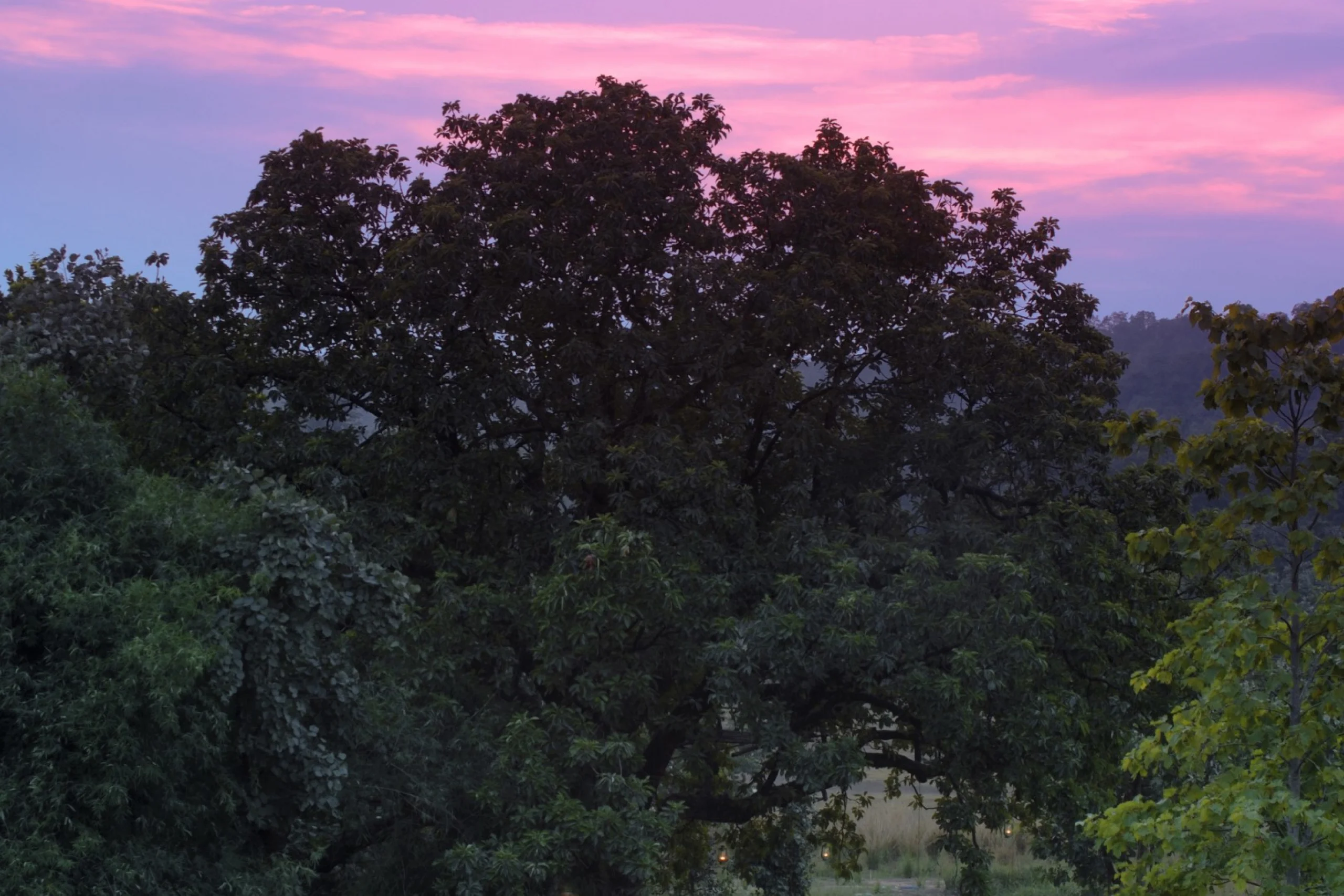 698eb374745a4_H6HNEL09