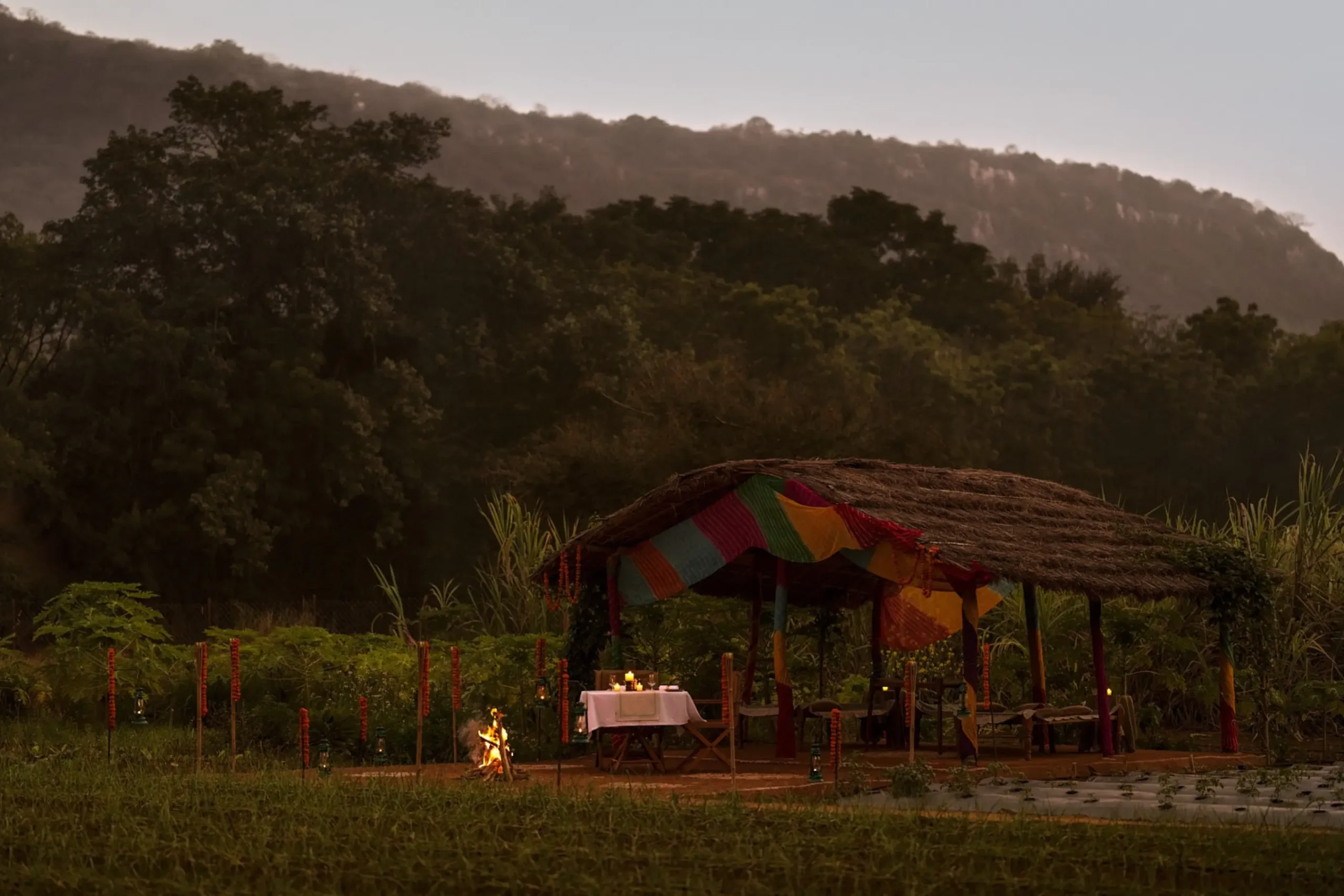 Aman-i-Khas, India - Dining Tented Camp Organic Farm (3)