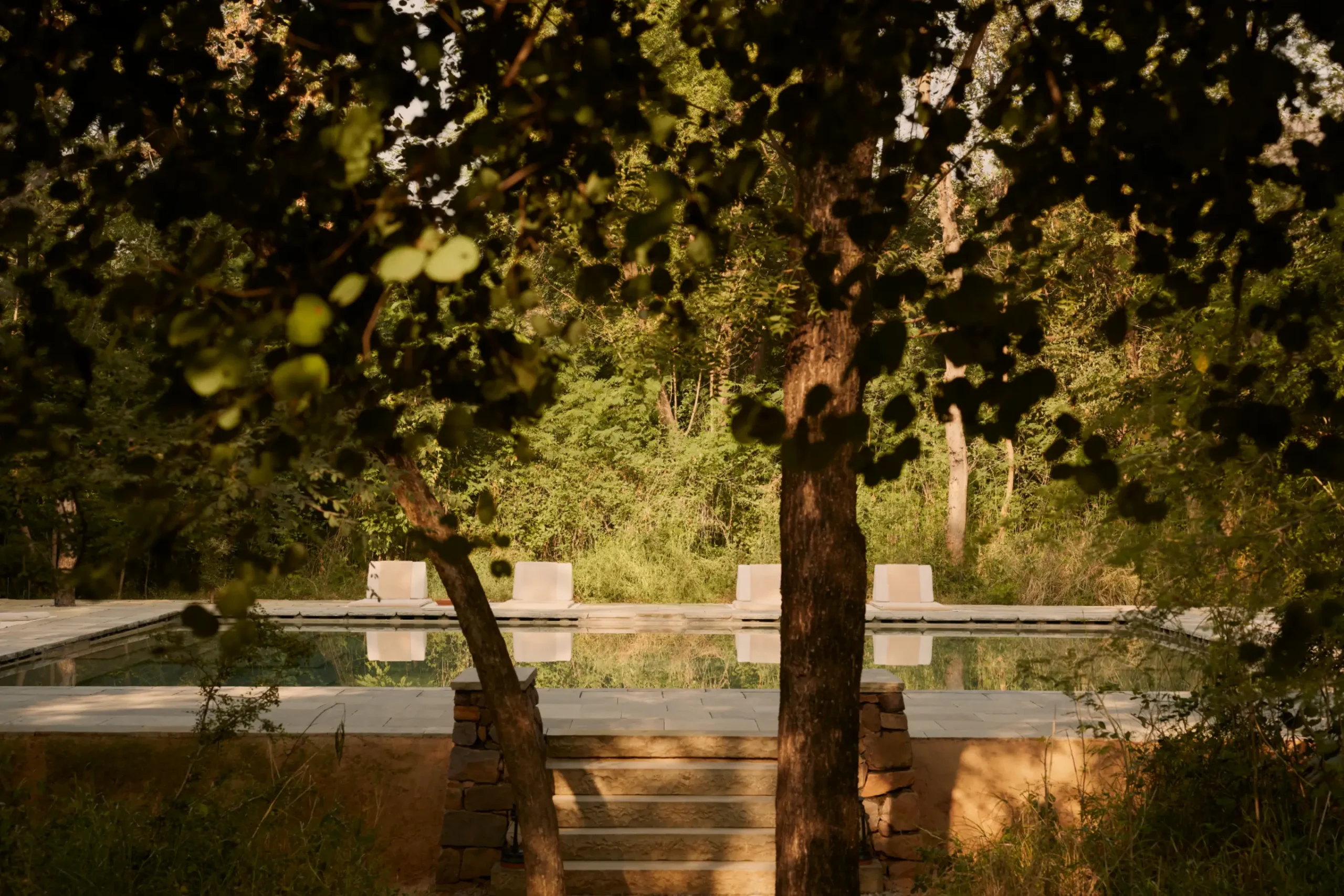 Aman-i-Khas, India - Resort, Pool