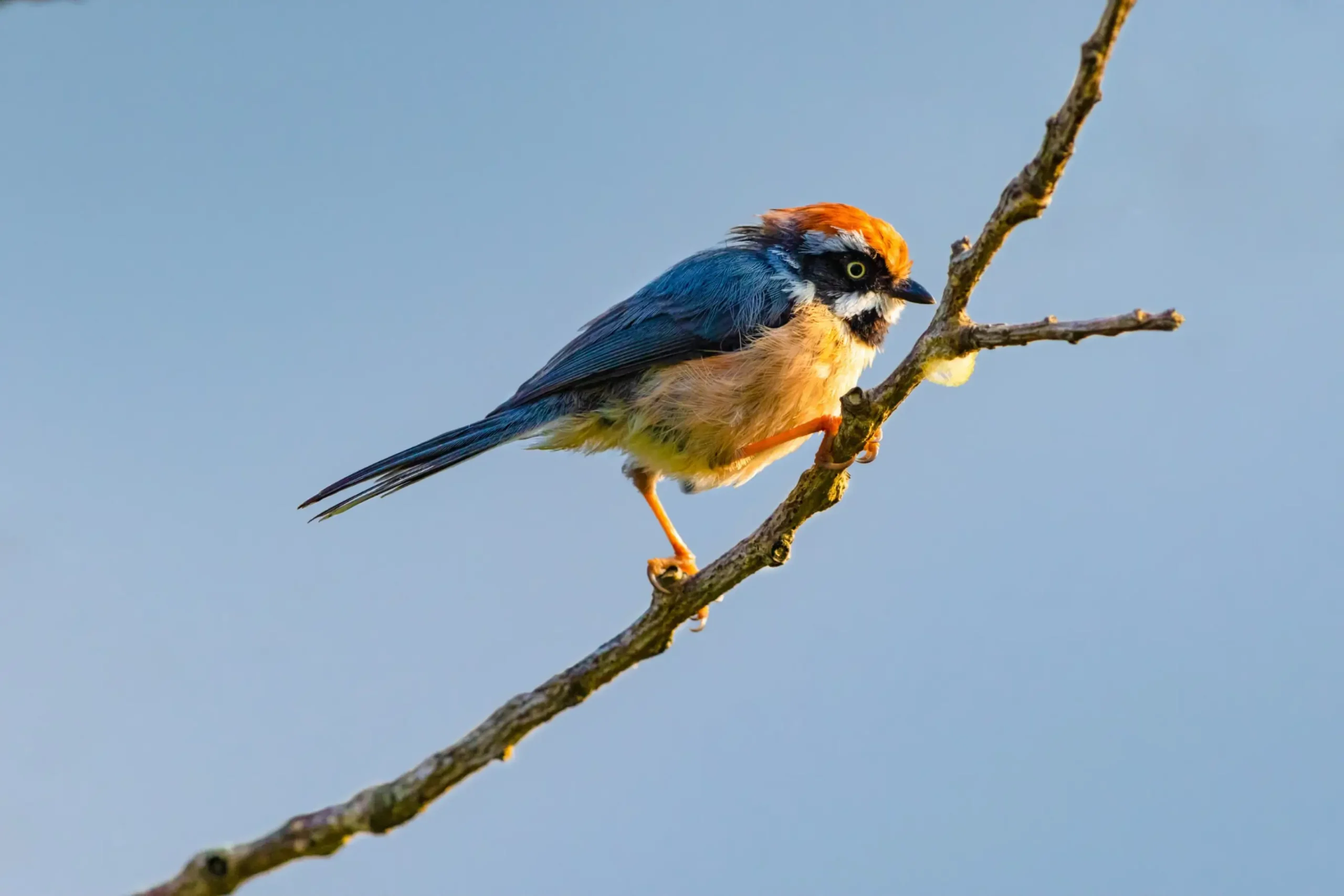 Devanya 20 09 14 © NOUGHTS AND CROSSES LLP 0264