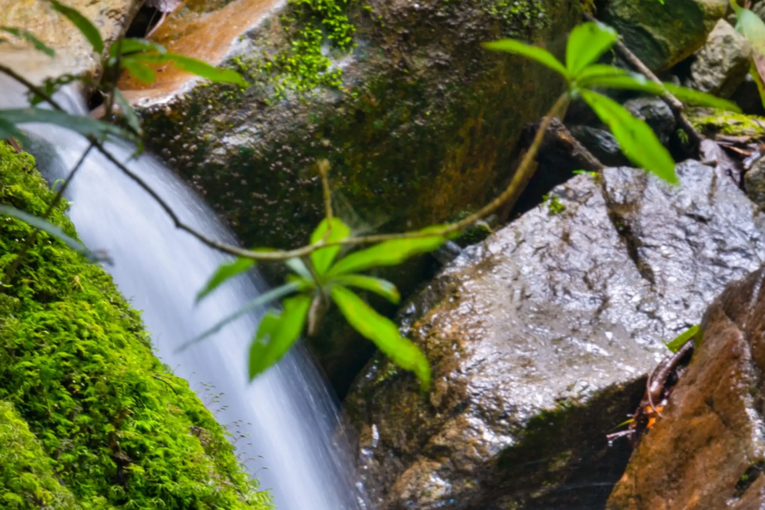 Devanya 20 09 14 © NOUGHTS AND CROSSES LLP 0408