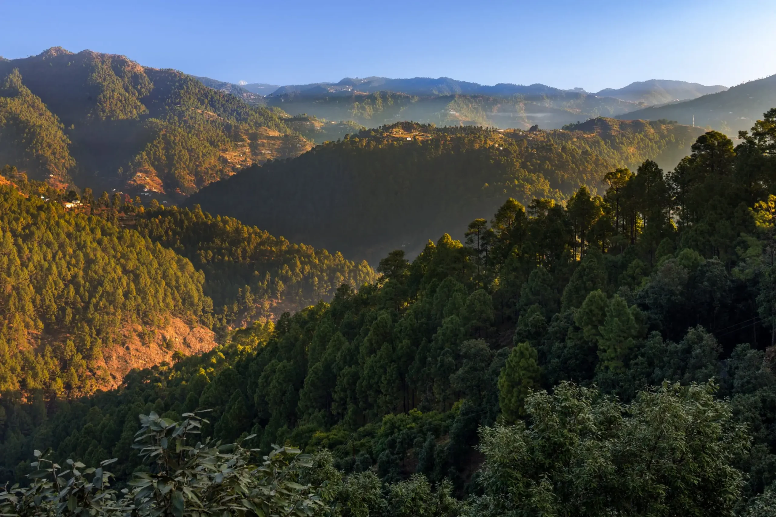 Devanya 20 10 29 © Noughts and Crosses 0739