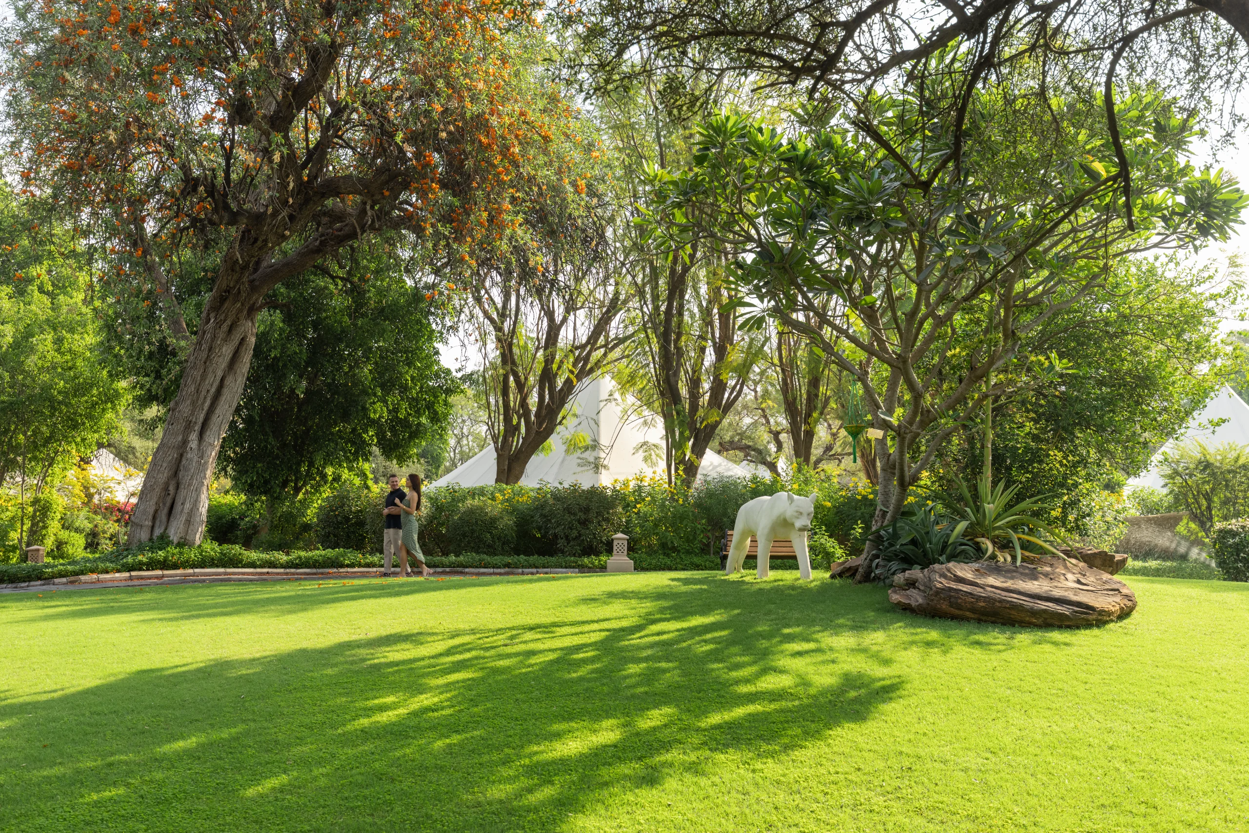 Nature walk with Naturalist