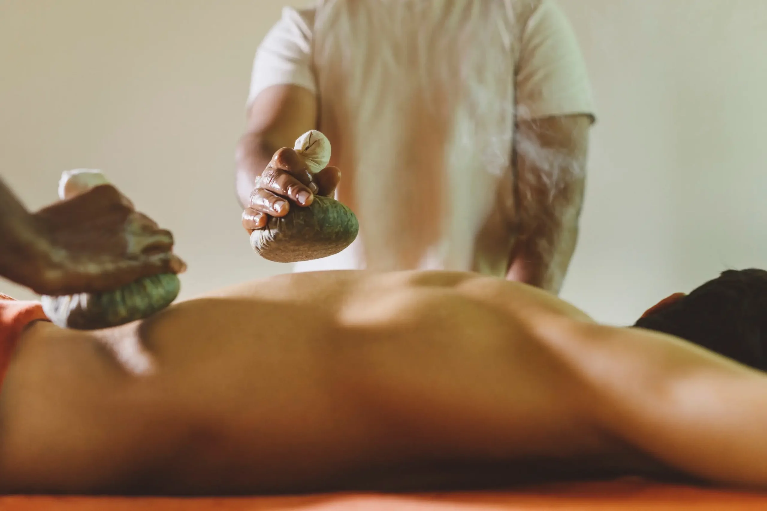 Wellness_Ayurveda_Treatment_1 (1)