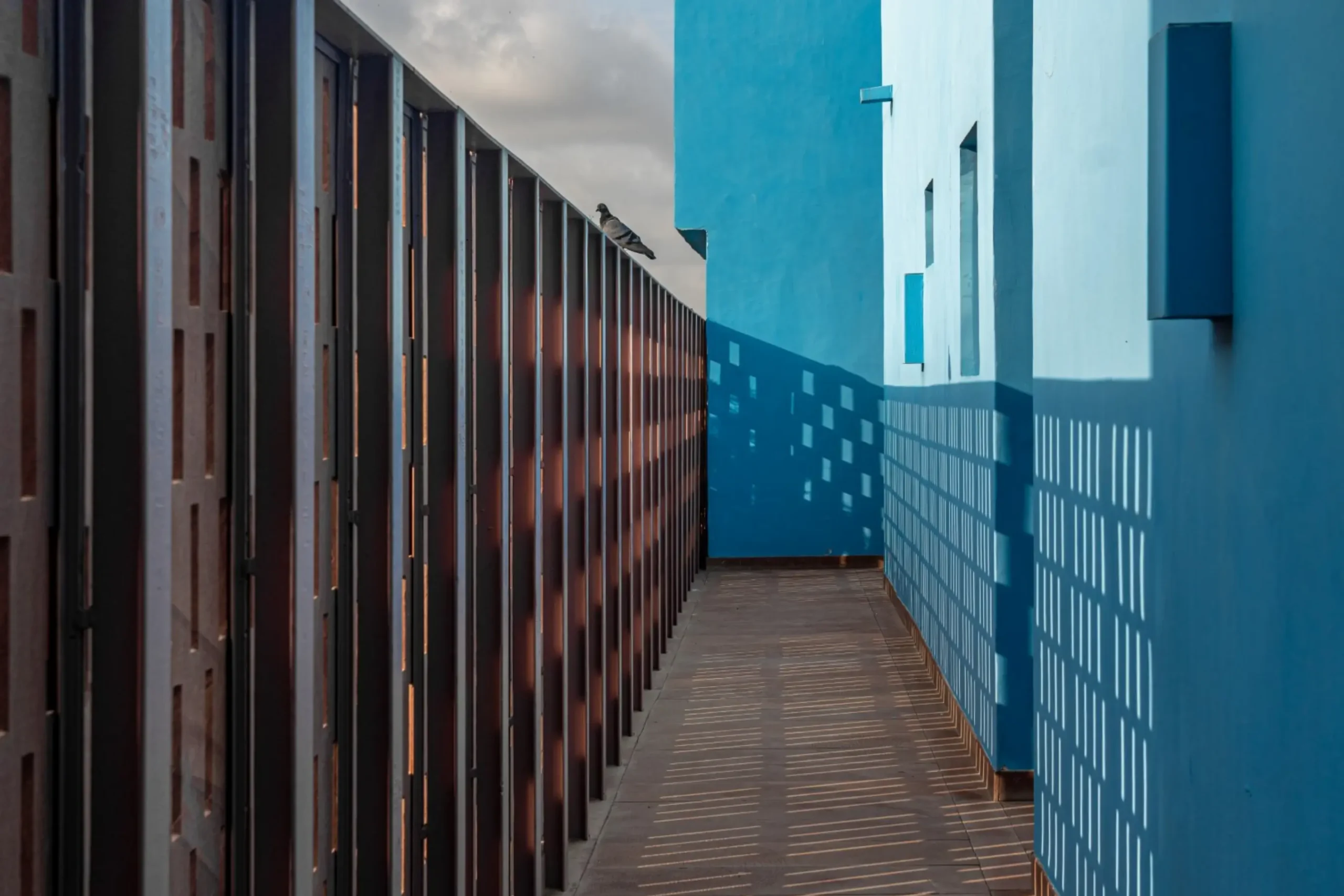 ©AG-RAAS-DSC06553-Edit