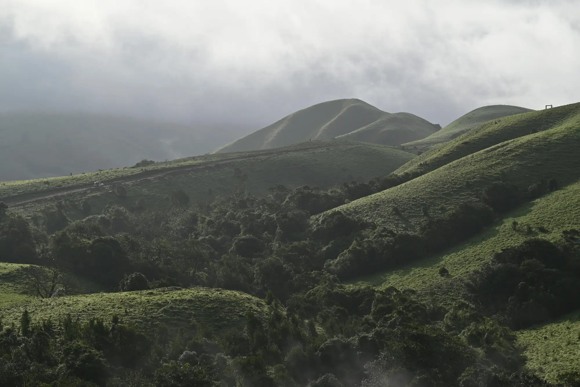 Karnataka Wilderness Exploration