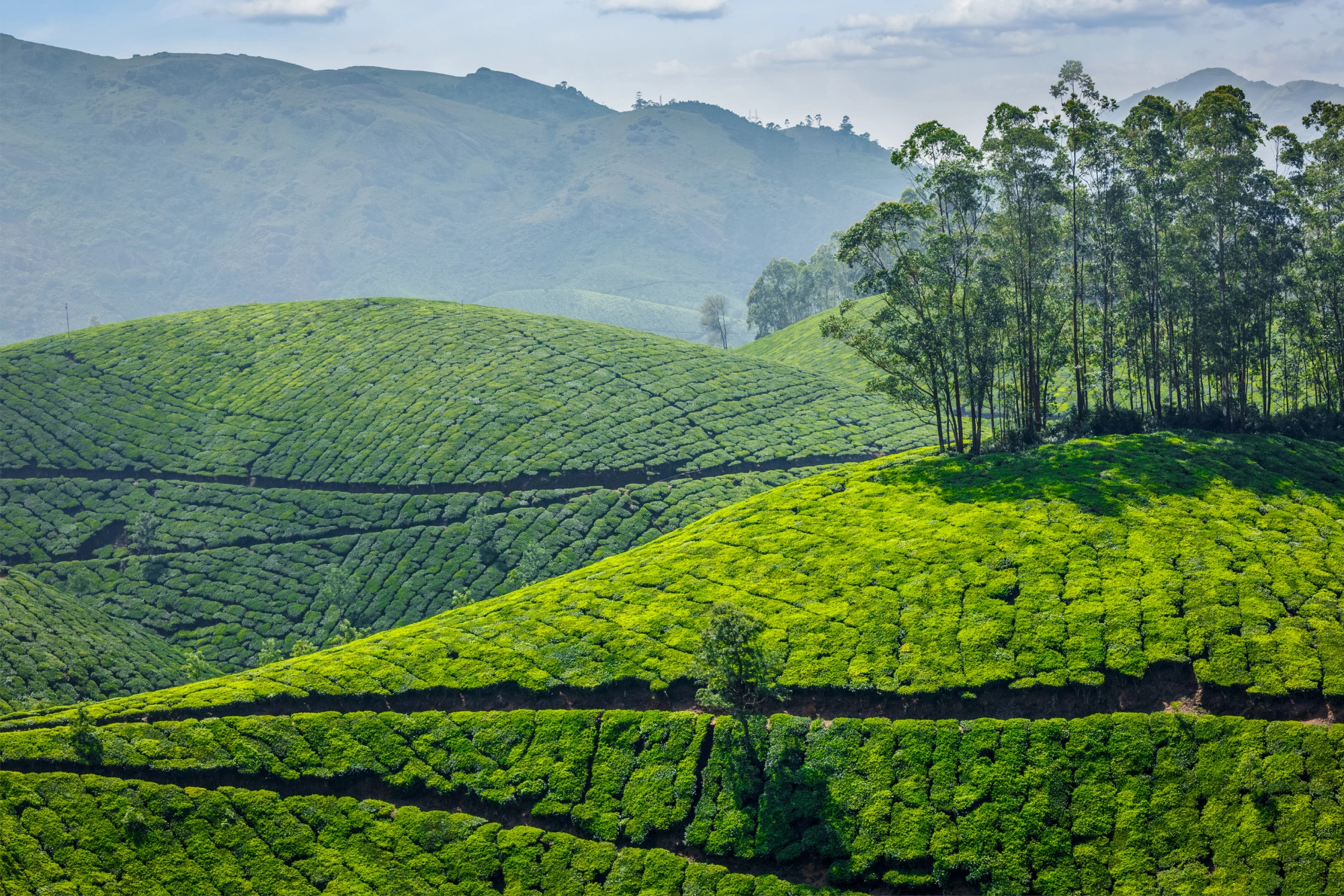 Scenic-Kerala