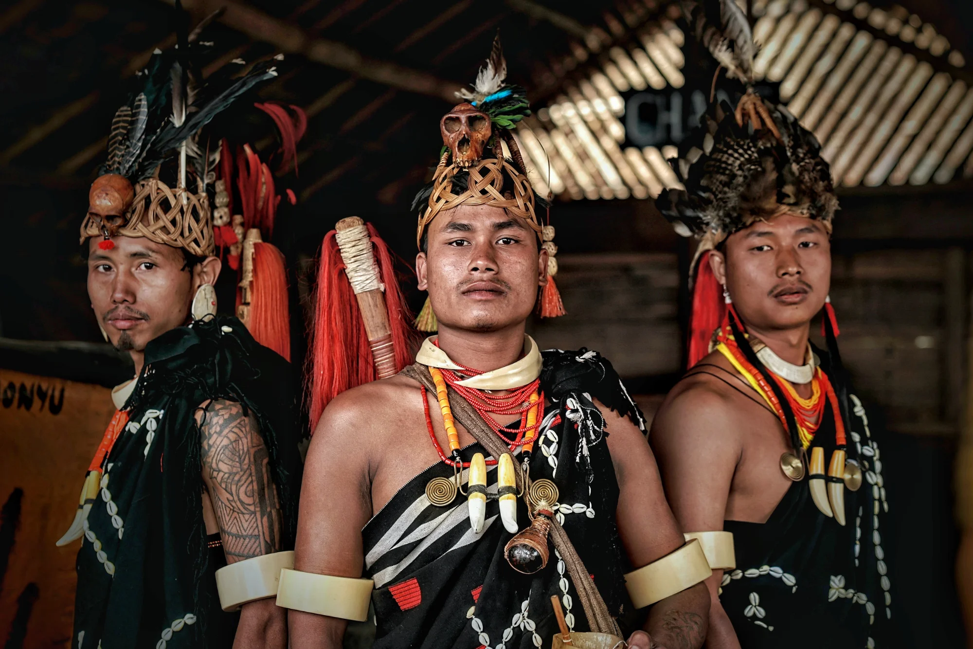 Wildlife & Tribal Heartlands of Central India
